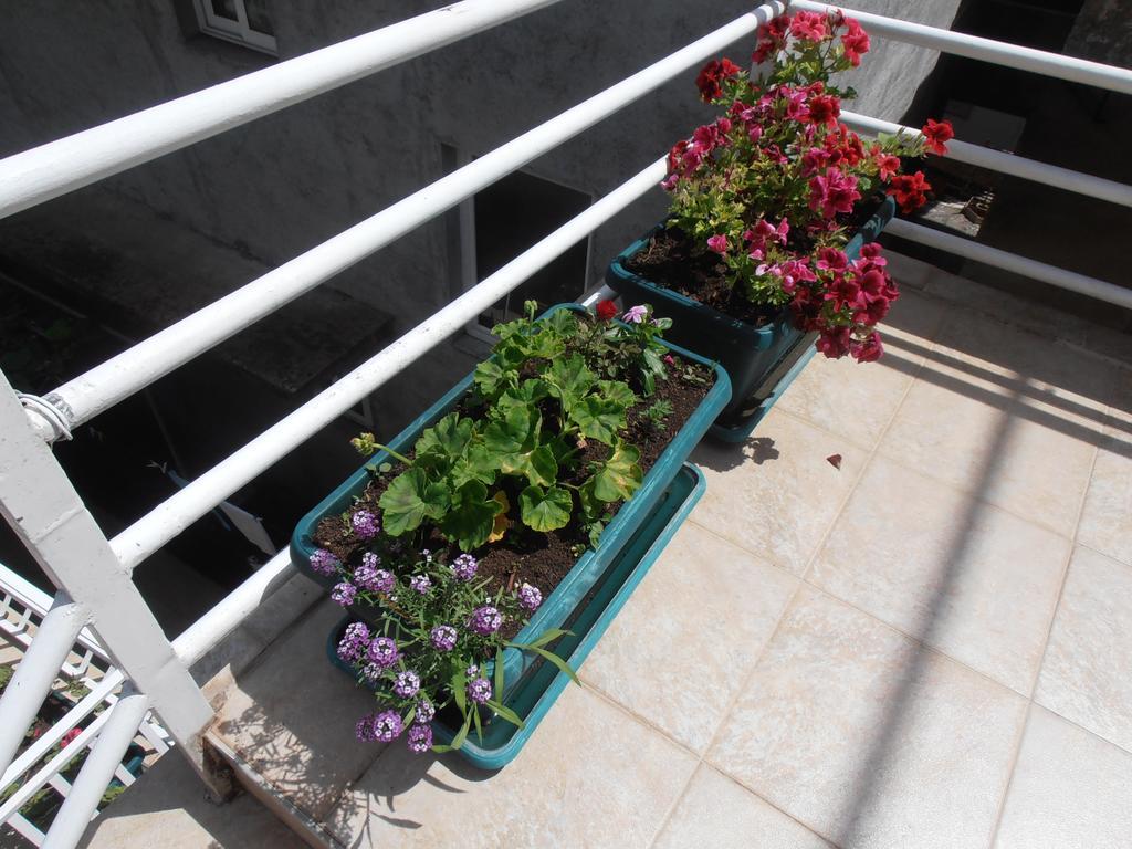 Apartmani Zeljko Vujovic Budva Exterior foto